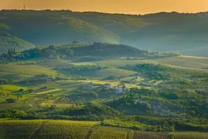 Kroatien Region Istrien Landschaft. / Luftaufnahme auf grünen Feldern in Istrien Region, berühmte kroatische Reise Orte.