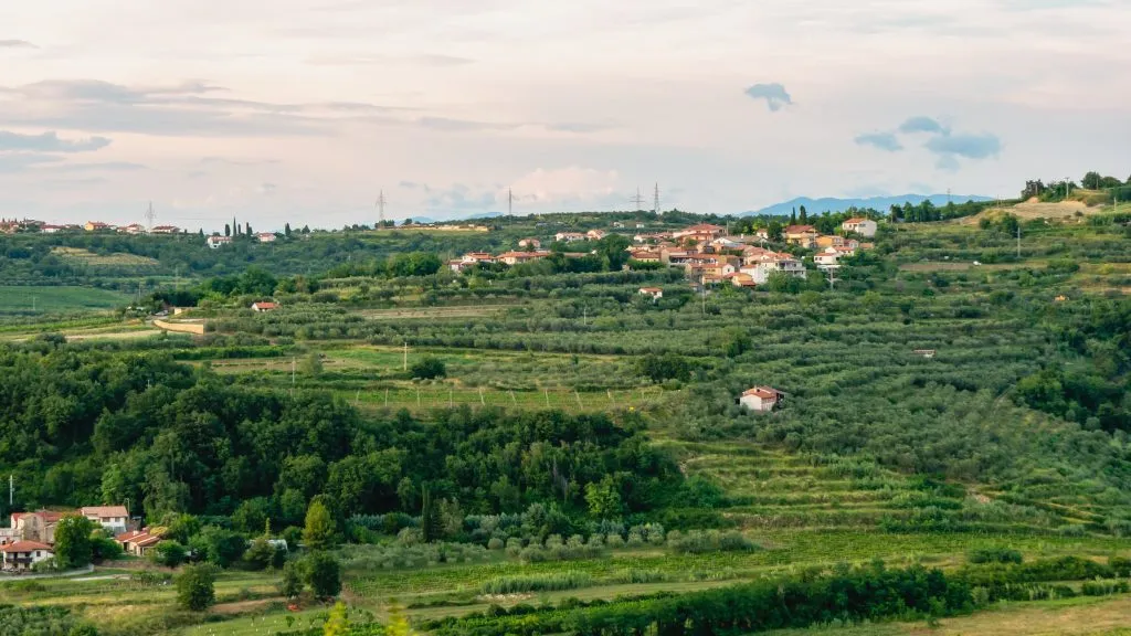 Berglandschap, olijfgaarden in Istrië. Prachtig uitzicht op het pittoreske dorpje.